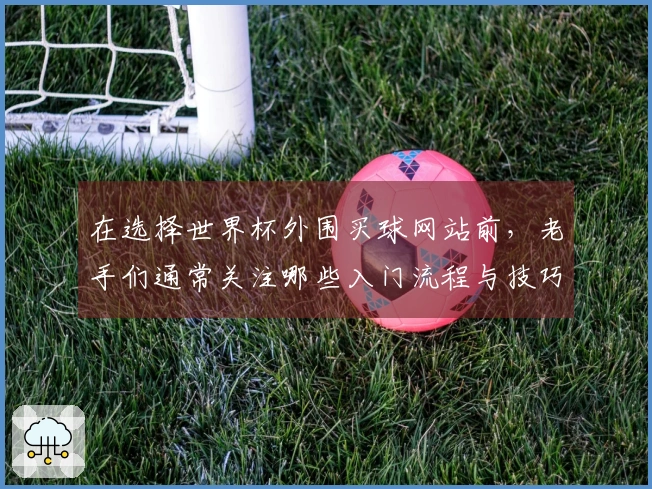 在选择世界杯外围买球网站前，老手们通常关注哪些入门流程与技巧？