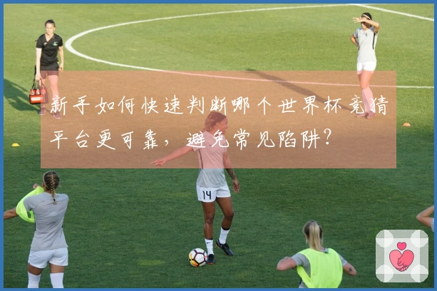 新手如何快速判断哪个世界杯竞猜平台更可靠，避免常见陷阱？