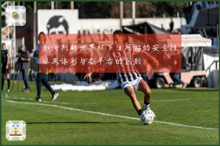 如何判断世界杯下注网站的安全性以及体彩与各平台的区别