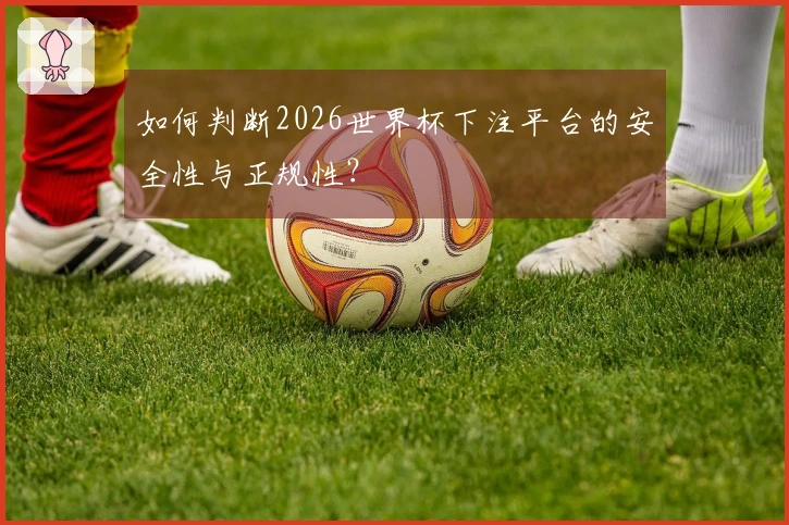 如何判断2026世界杯下注平台的安全性与正规性？