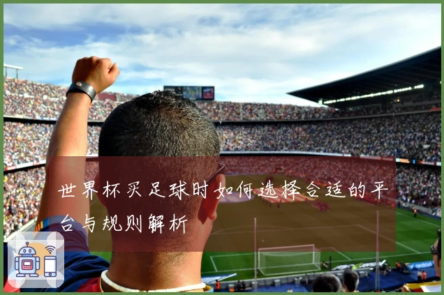 世界杯买足球时如何选择合适的平台与规则解析