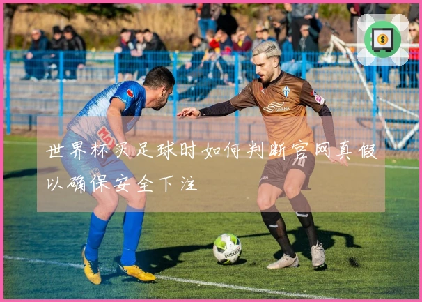 世界杯买足球时如何判断官网真假以确保安全下注