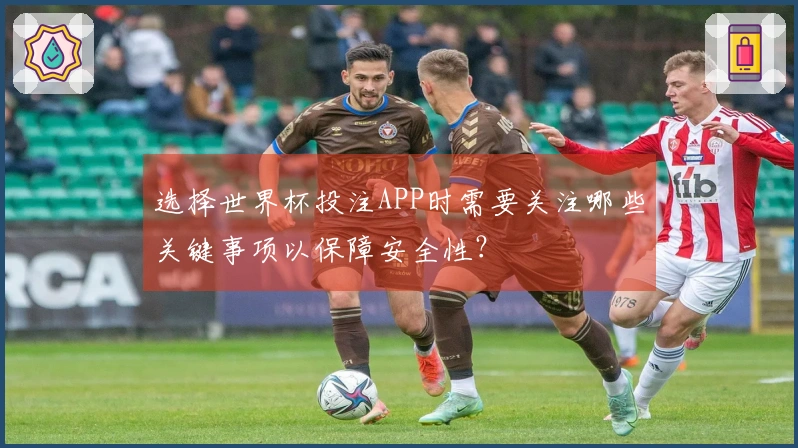 选择世界杯投注APP时需要关注哪些关键事项以保障安全性？