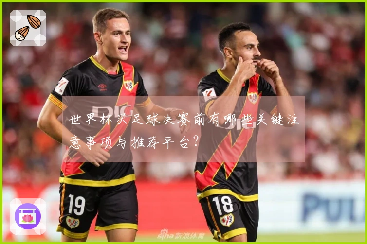 世界杯买足球决赛前有哪些关键注意事项与推荐平台？