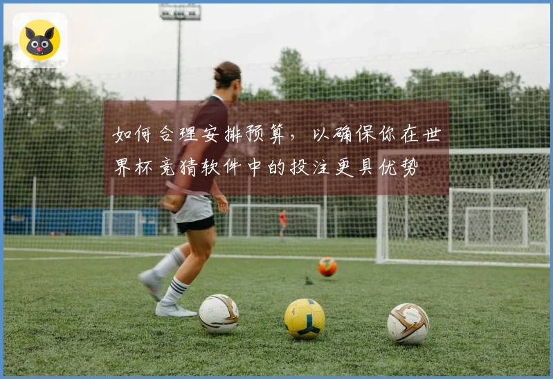 如何合理安排预算，以确保你在世界杯竞猜软件中的投注更具优势