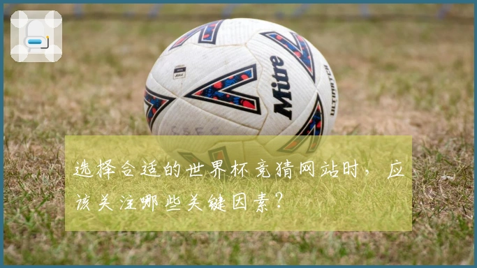 选择合适的世界杯竞猜网站时，应该关注哪些关键因素？