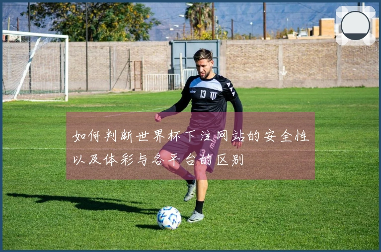 如何判断世界杯下注网站的安全性以及体彩与各平台的区别