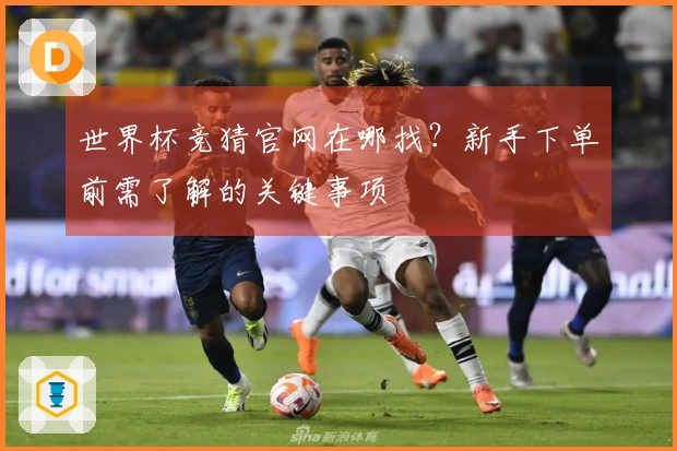 世界杯竞猜官网在哪找？新手下单前需了解的关键事项