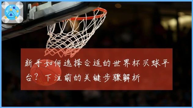 新手如何选择合适的世界杯买球平台？下注前的关键步骤解析