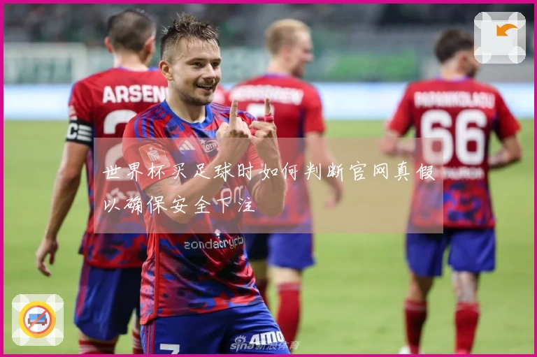 世界杯买足球时如何判断官网真假以确保安全下注