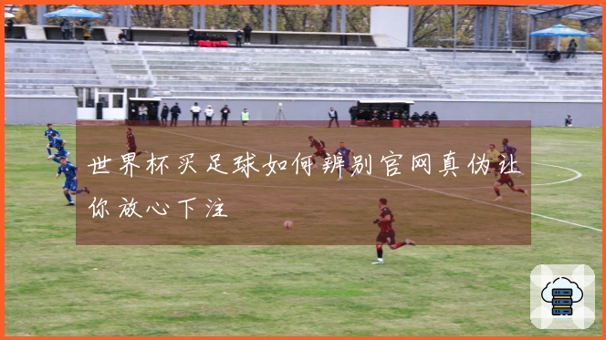 世界杯买足球如何辨别官网真伪让你放心下注