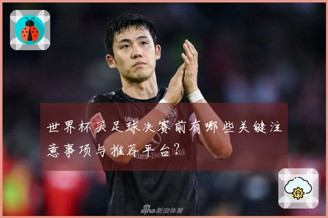 世界杯买足球决赛前有哪些关键注意事项与推荐平台？