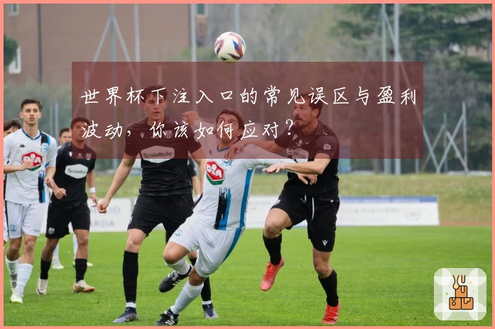 世界杯下注入口的常见误区与盈利波动，你该如何应对？