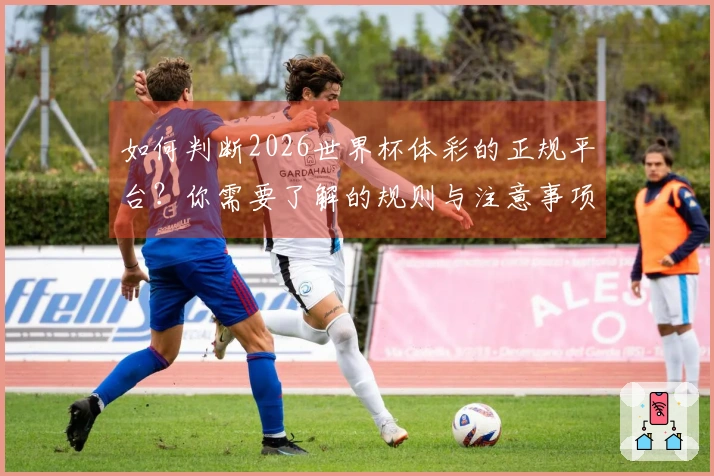 如何判断2026世界杯体彩的正规平台？你需要了解的规则与注意事项