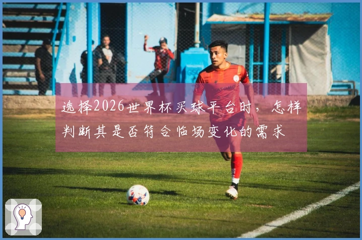 选择2026世界杯买球平台时，怎样判断其是否符合临场变化的需求