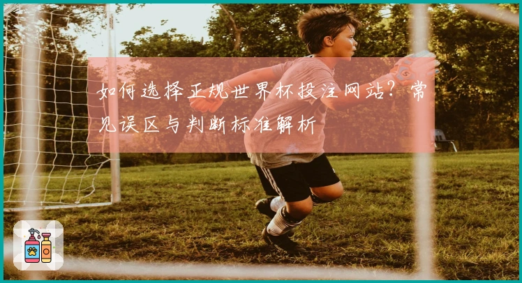 如何选择正规世界杯投注网站？常见误区与判断标准解析