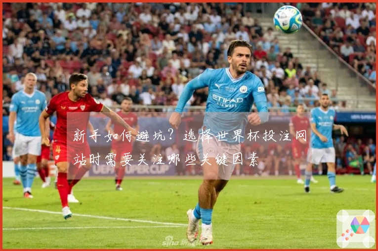 新手如何避坑？选择世界杯投注网站时需要关注哪些关键因素