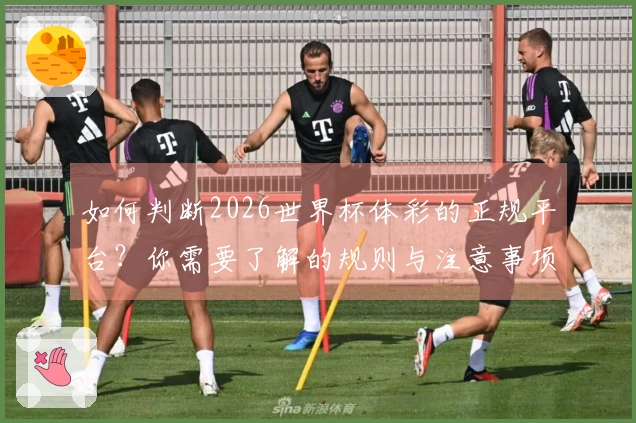 如何判断2026世界杯体彩的正规平台？你需要了解的规则与注意事项