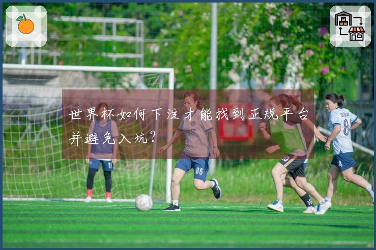 世界杯如何下注才能找到正规平台并避免入坑？
