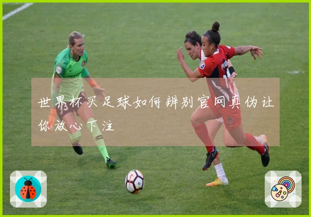 世界杯买足球如何辨别官网真伪让你放心下注