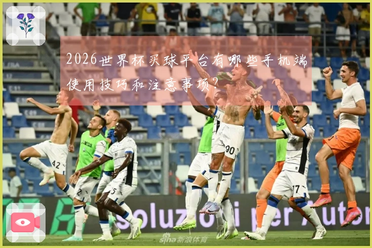 2026世界杯买球平台有哪些手机端使用技巧和注意事项？