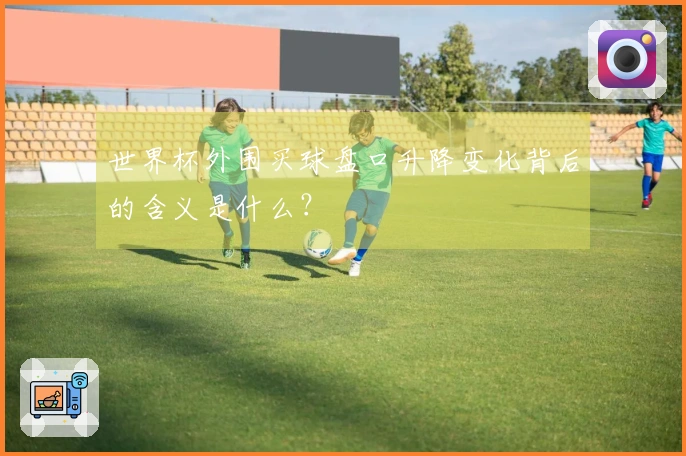 世界杯外围买球盘口升降变化背后的含义是什么？