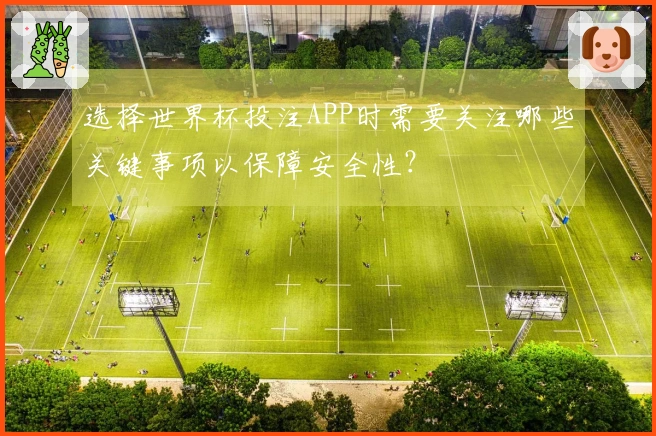 选择世界杯投注APP时需要关注哪些关键事项以保障安全性？