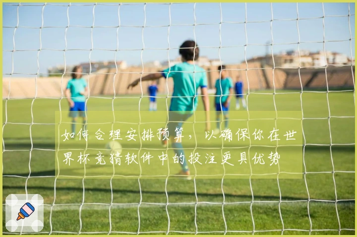 如何合理安排预算，以确保你在世界杯竞猜软件中的投注更具优势