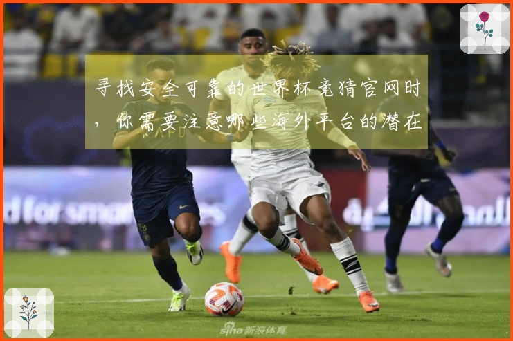 寻找安全可靠的世界杯竞猜官网时，你需要注意哪些海外平台的潜在风险？