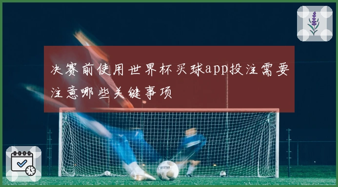 决赛前使用世界杯买球app投注需要注意哪些关键事项