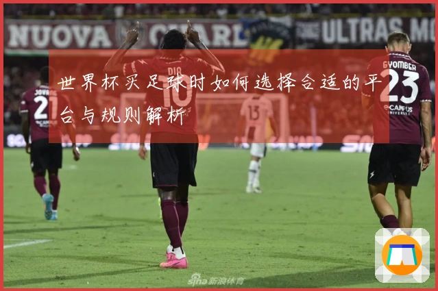世界杯买足球时如何选择合适的平台与规则解析
