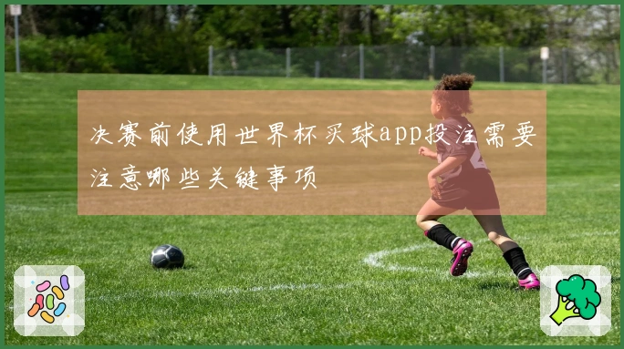 决赛前使用世界杯买球app投注需要注意哪些关键事项