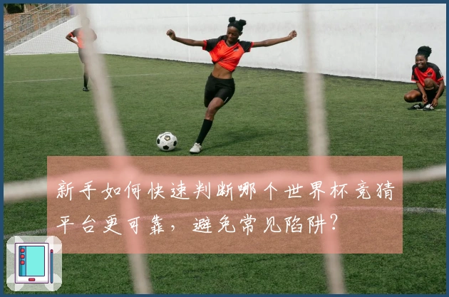 新手如何快速判断哪个世界杯竞猜平台更可靠，避免常见陷阱？