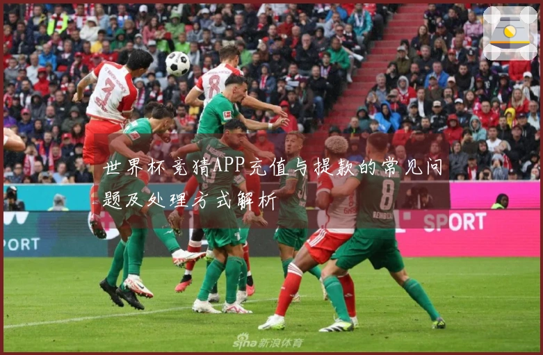 世界杯竞猜APP充值与提款的常见问题及处理方式解析