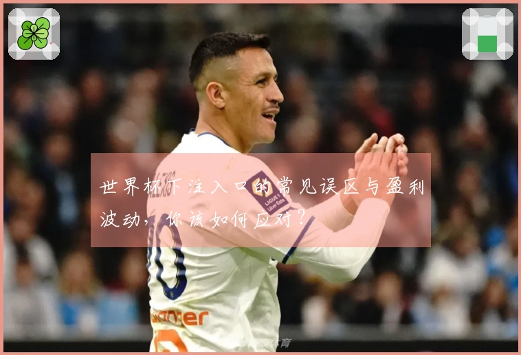 世界杯下注入口的常见误区与盈利波动，你该如何应对？