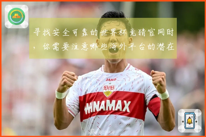 寻找安全可靠的世界杯竞猜官网时，你需要注意哪些海外平台的潜在风险？