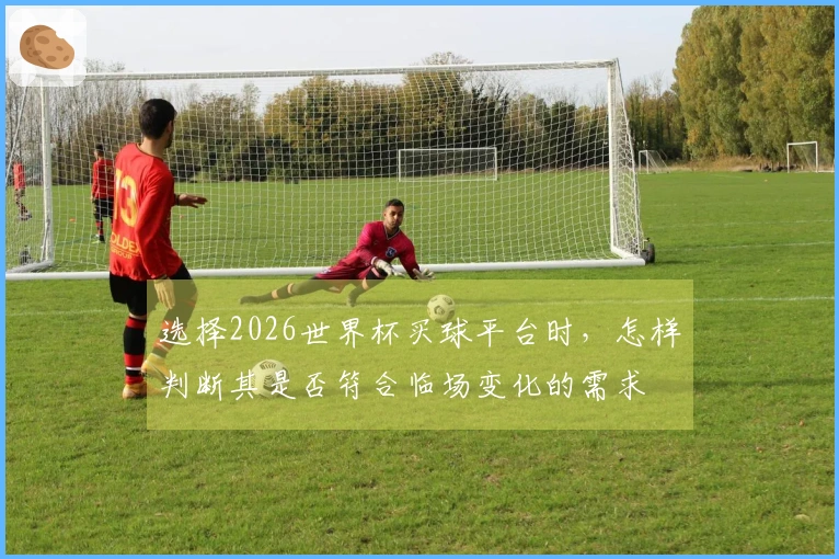 选择2026世界杯买球平台时，怎样判断其是否符合临场变化的需求